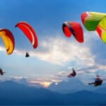 The Joy of Cooking: Rediscovering the Pleasure of Homemade